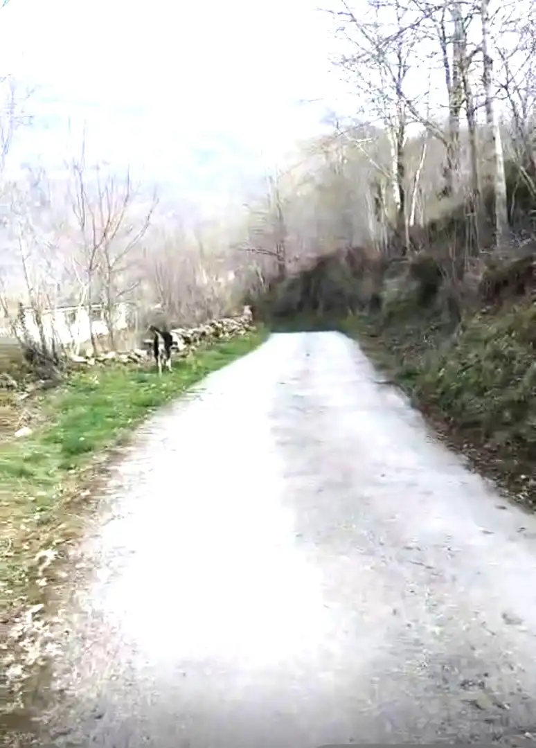 Residential land for sale in Bº LA CABANILLA, imagen 8