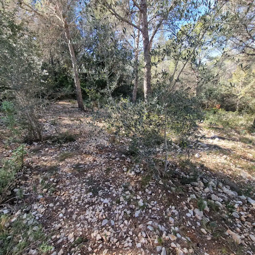 Terreno residencial en venta en Carrer Gessamí 18, imagen 33