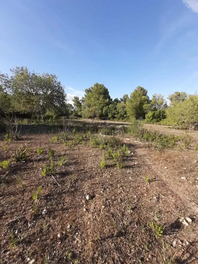 Terrain rustique à vendre à Sant Joan, imagen 16