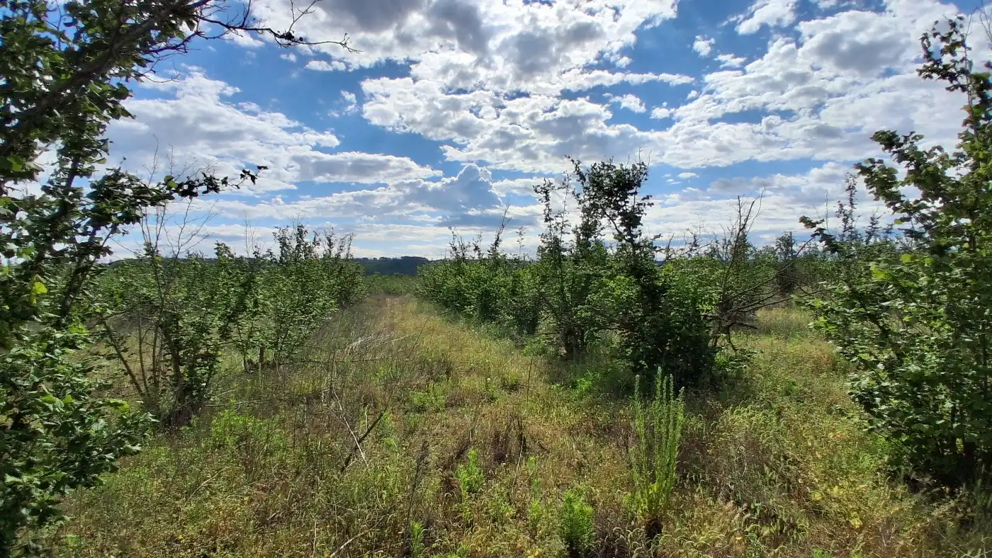 Terreno en venta en El Milà