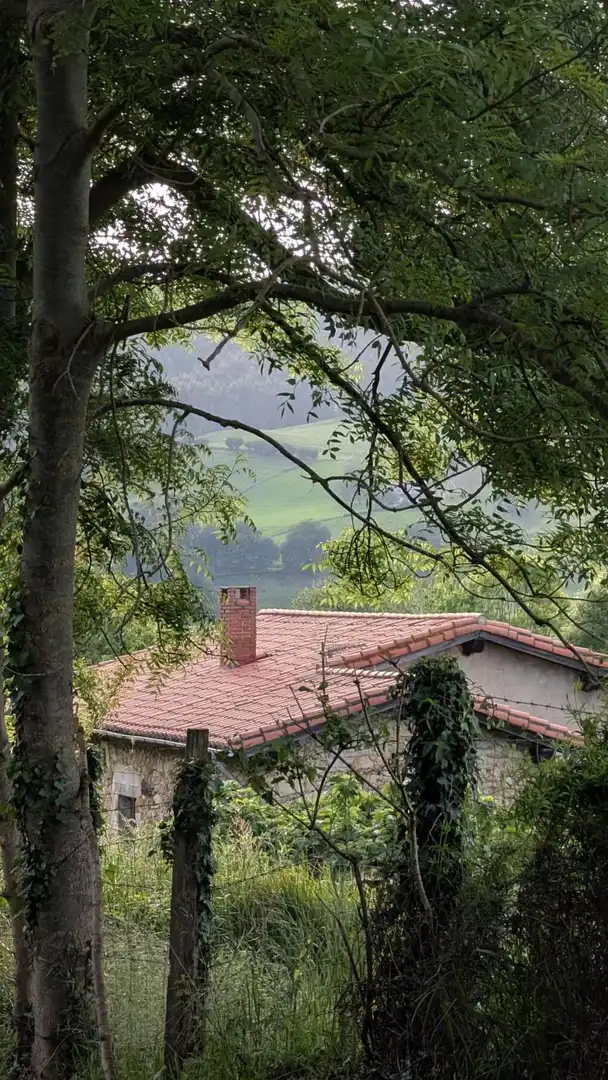 House with terrace for sale in MIES DEL CUETO 604, imagen 63