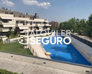 Swimming pool of Flat to rent in Colmenar Viejo  with Air Conditioner, Terrace and Swimming Pool