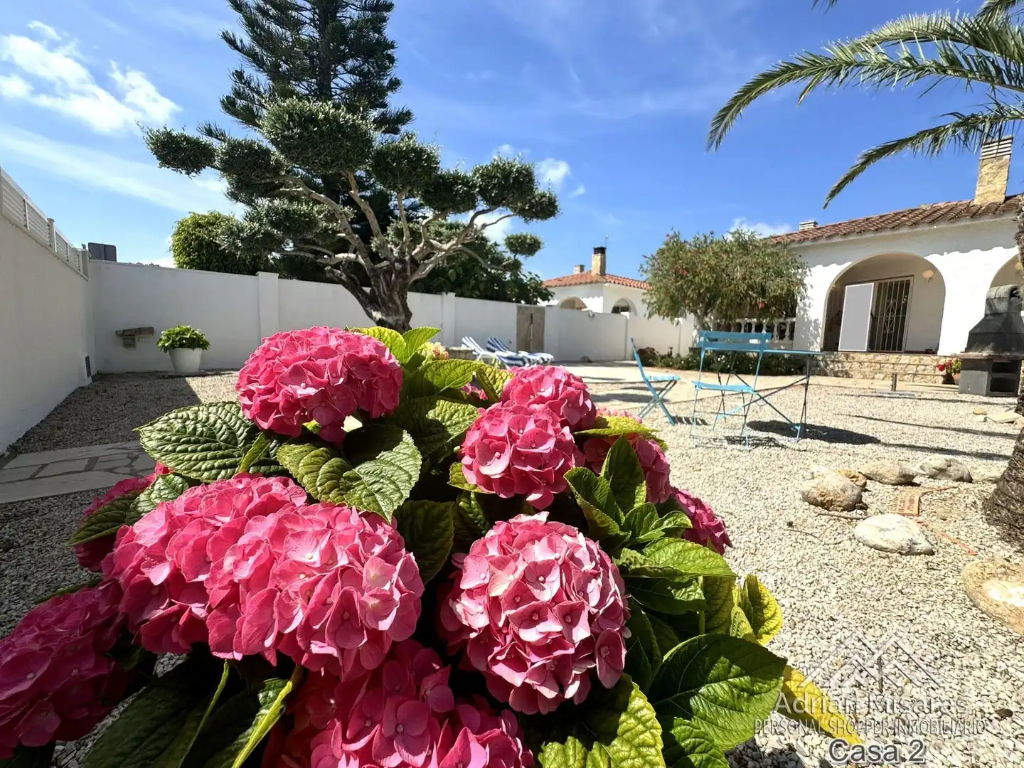 Jardín de Casa o chalet en venta en Deltebre con Aire acondicionado, Piscina y Amueblado