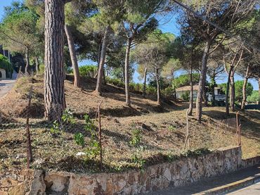 Wohnbaugrundstück zum Verkauf in Lloret Verd - Els Pinars