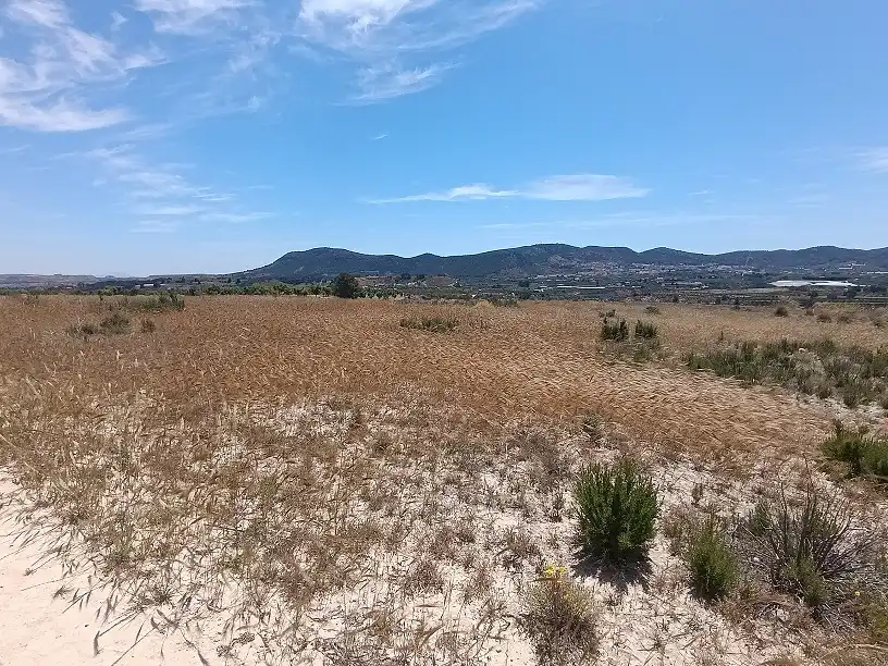 Lands and plots for sale in Mula, imagen 26