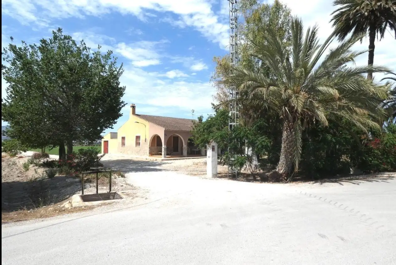 Vista exterior de Casa o chalet en venta en Crevillent con Aire acondicionado y Jardín privado