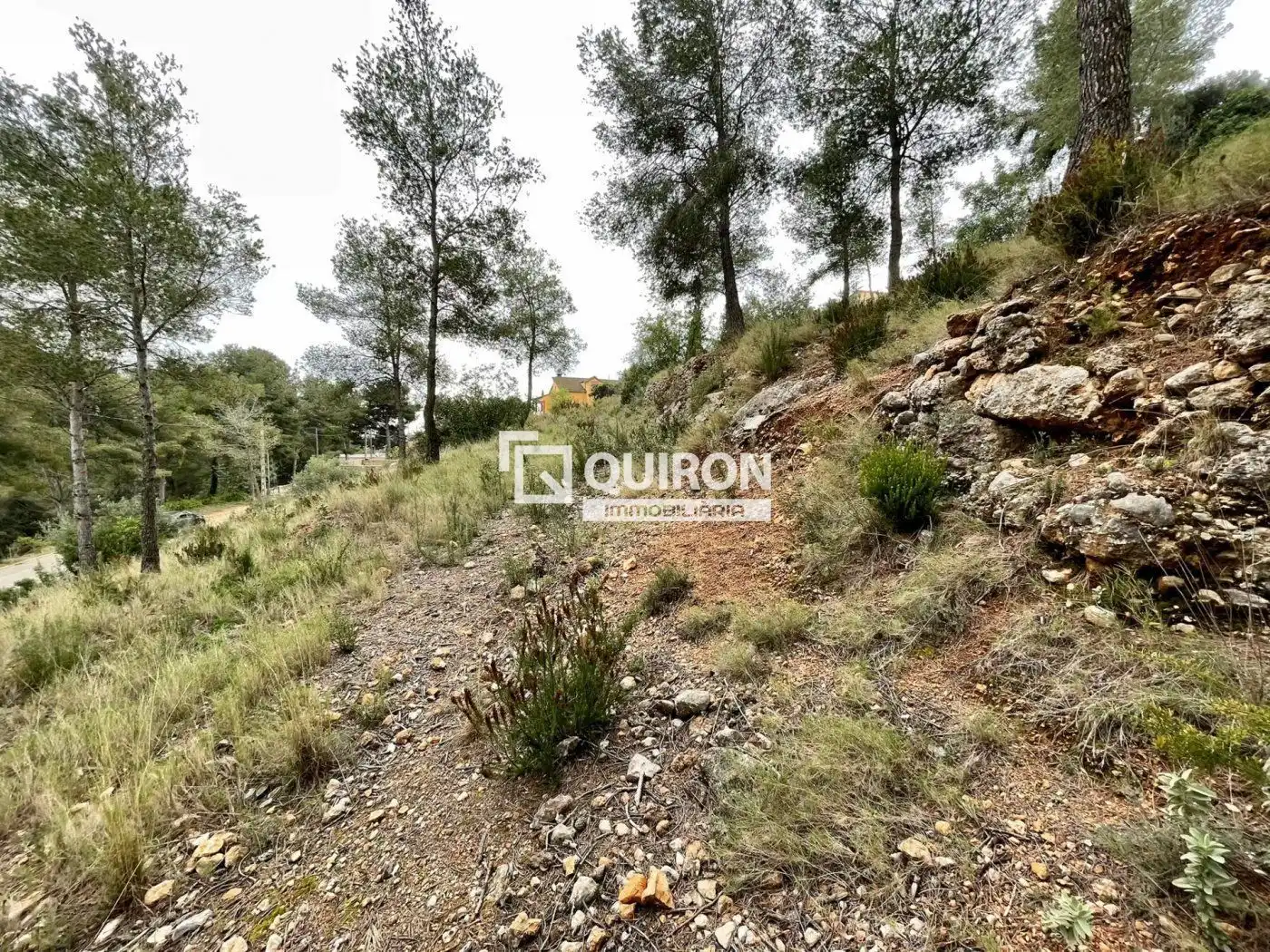 Rural land for sale in La Bisbal del Penedès, imagen 4