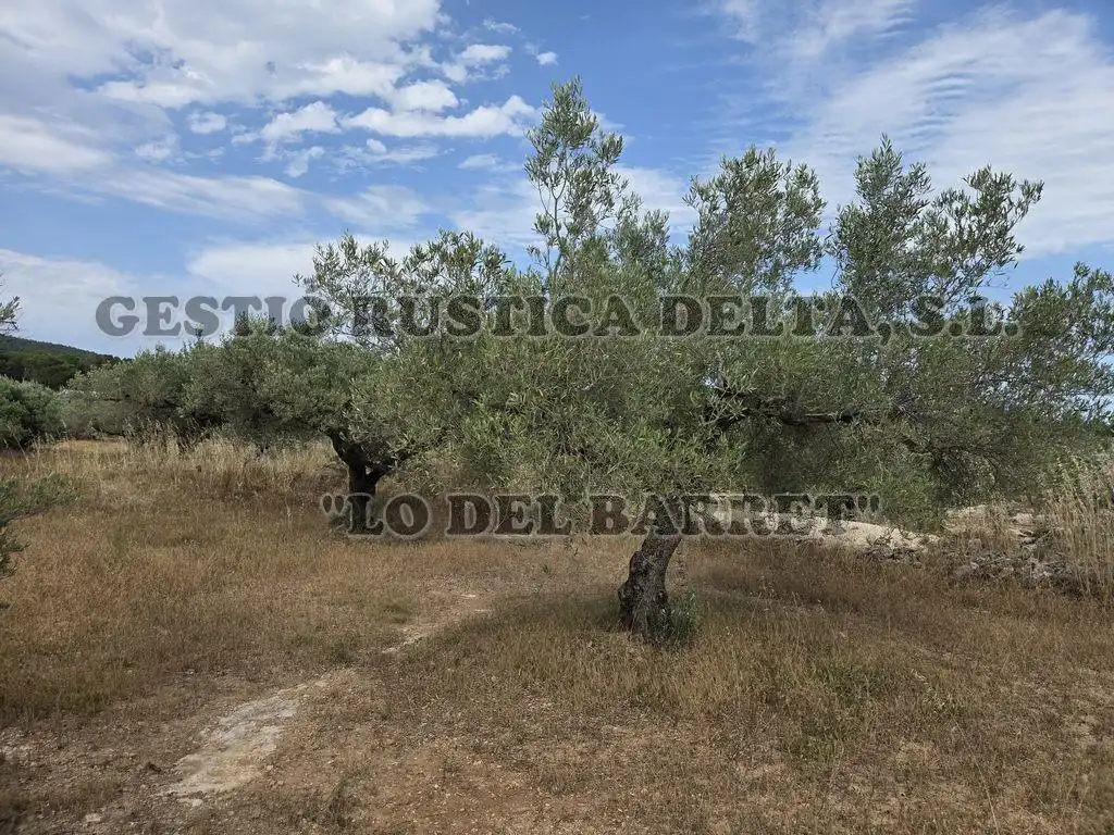 Finca rústica en venda en El Perelló