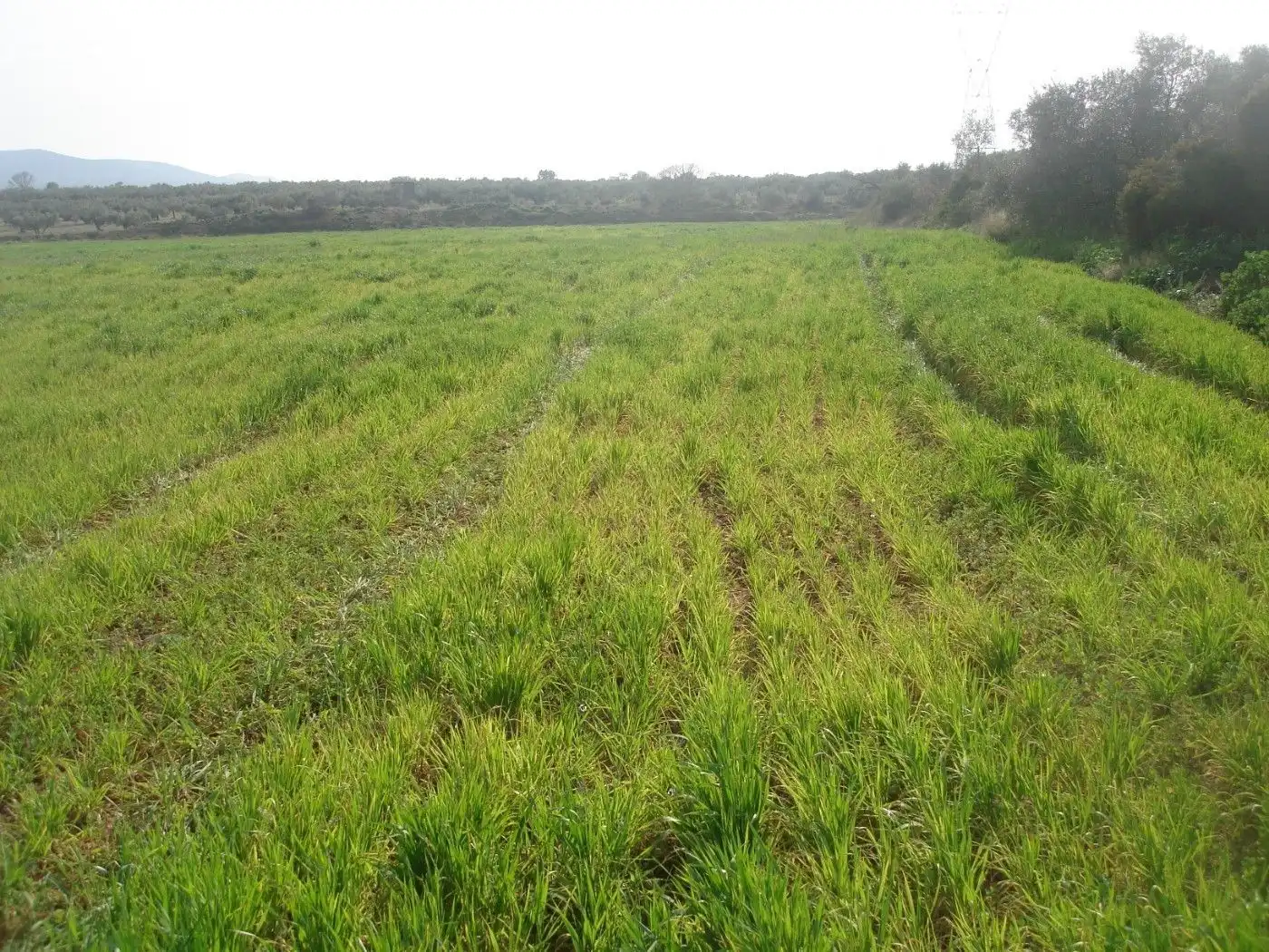 Terreno rustico in vendita a Godall, imagen 10