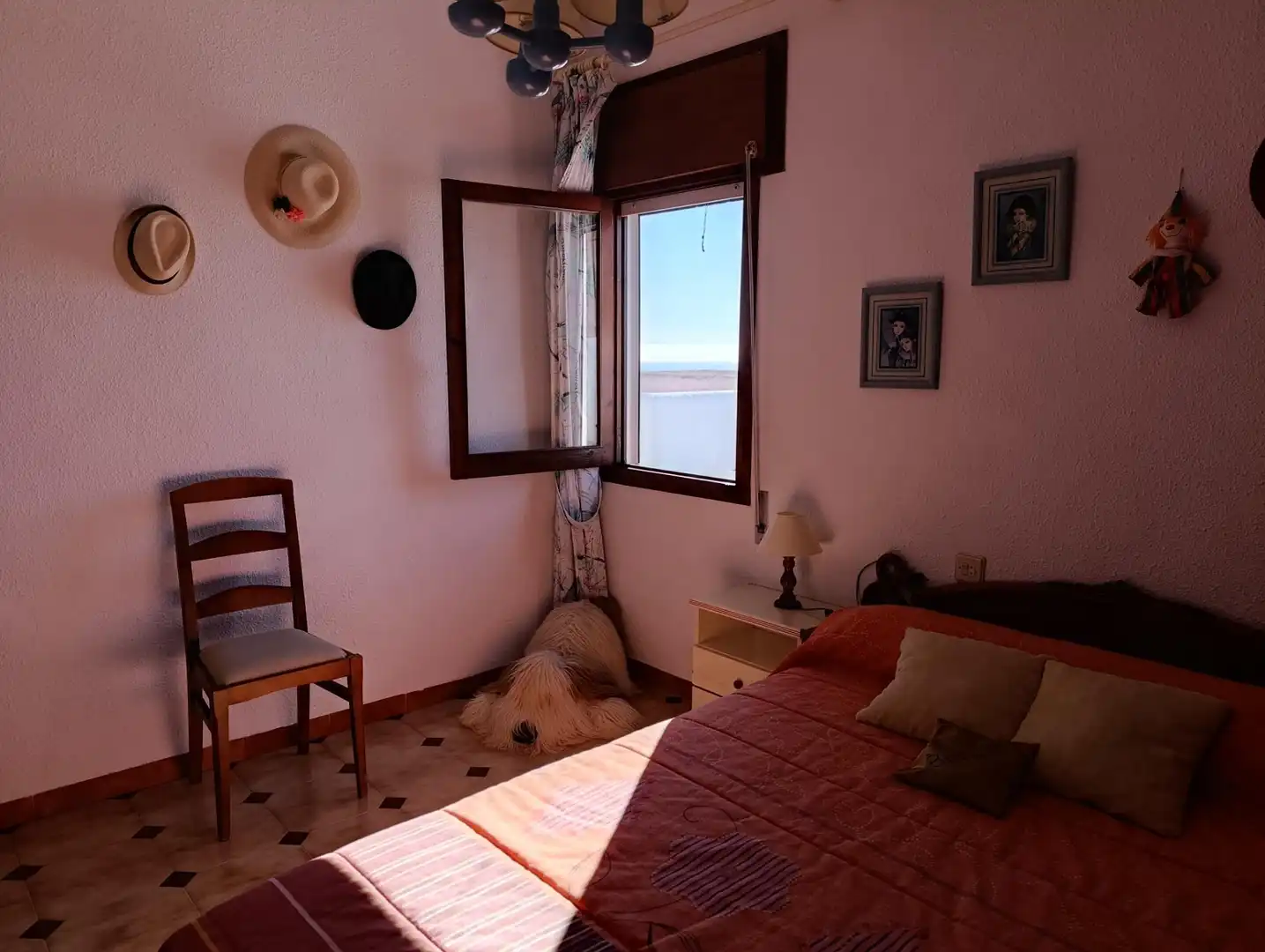 Detached house with terrace for sale in El Palmeral, imagen 19