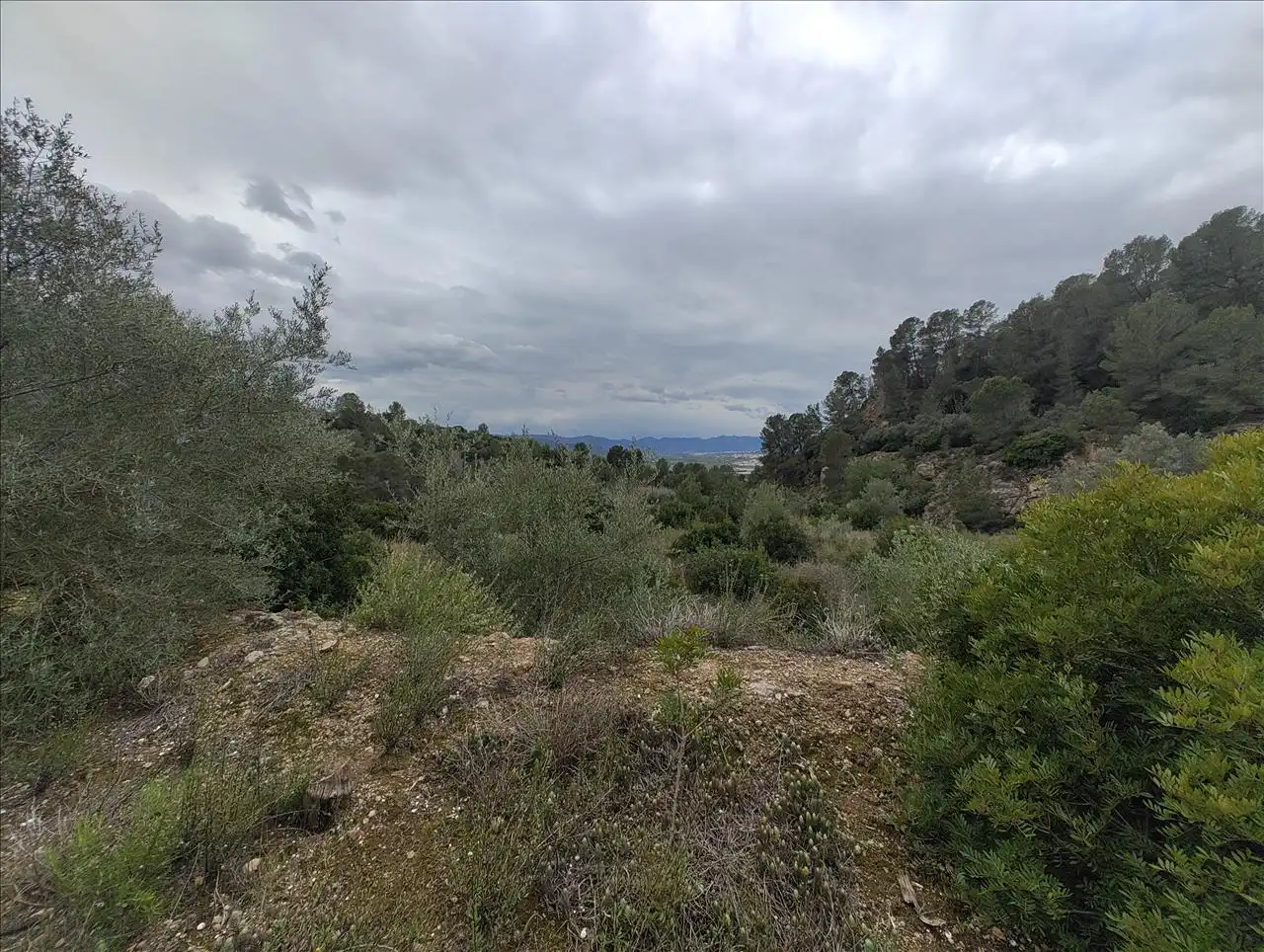 Terreno residencial en venta en Cantalars, Pol.9, Parc. 123(A,B,C Y D) Y Parcela 233. Barranco De Montell, imagen 11