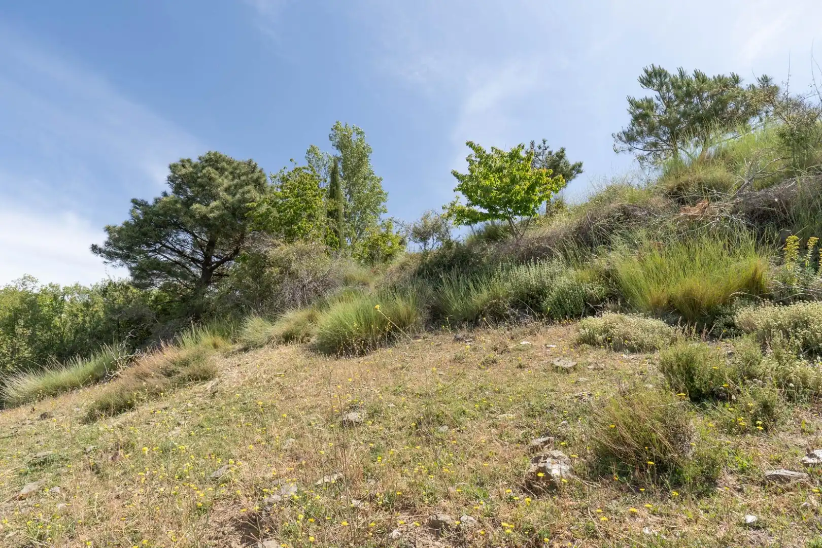 Terreno en venta en Soportújar