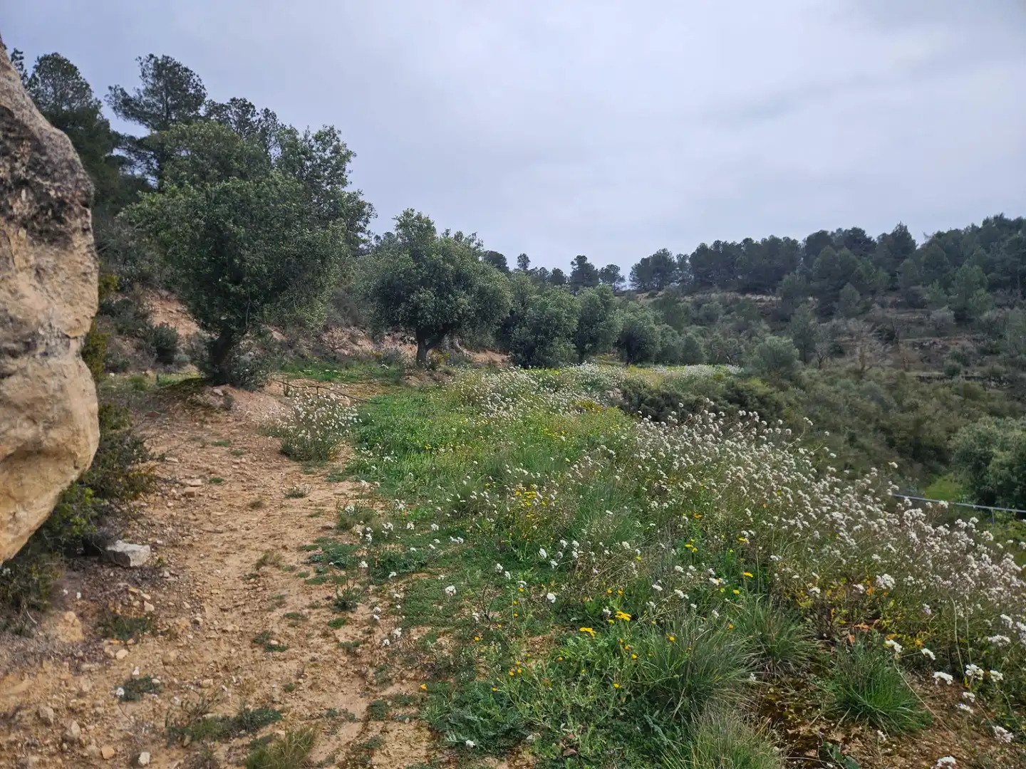 Rural land for sale in Cervià de Les Garrigues, imagen 11