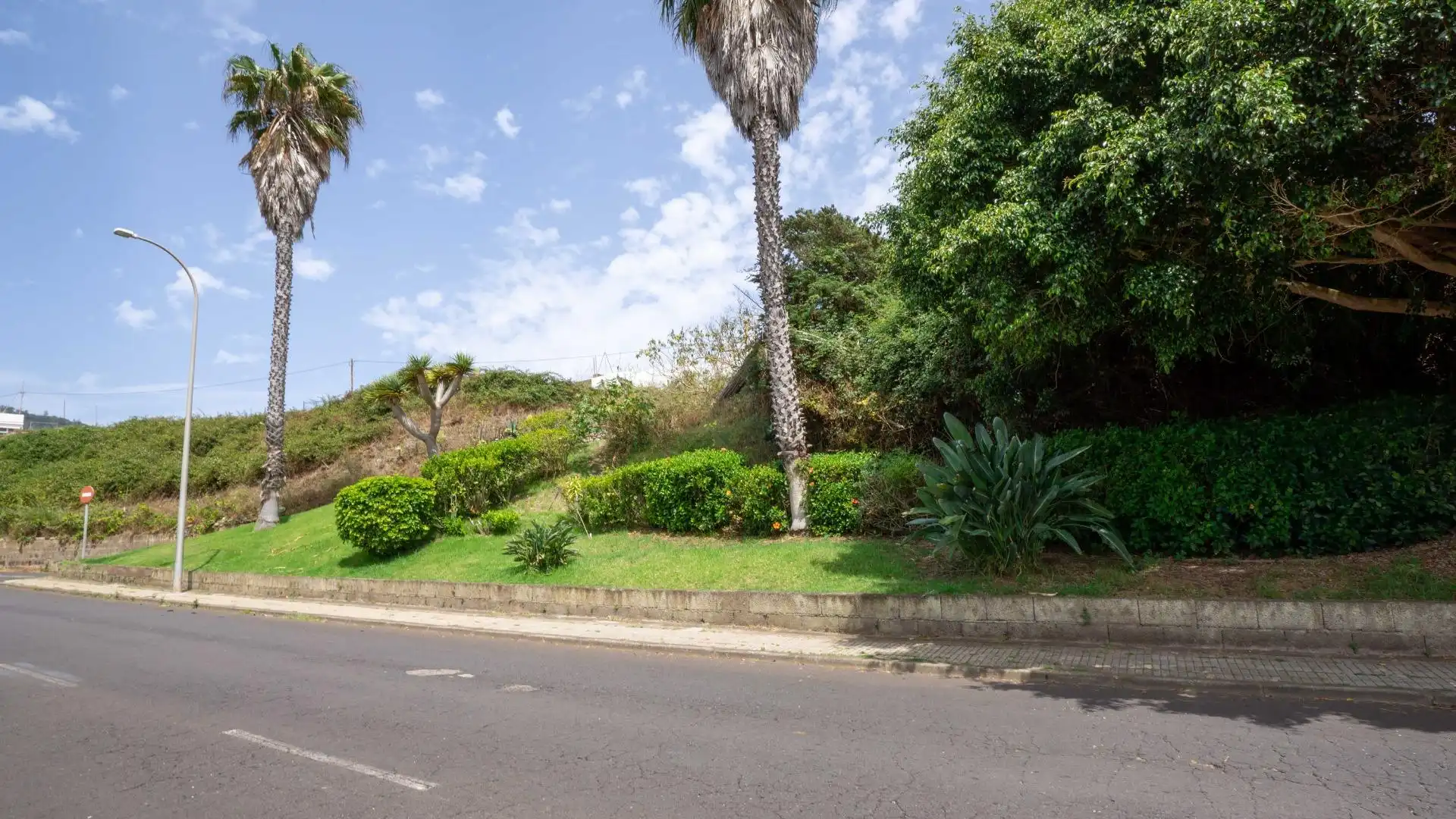 Lands and plots for sale in Tegueste, imagen 30