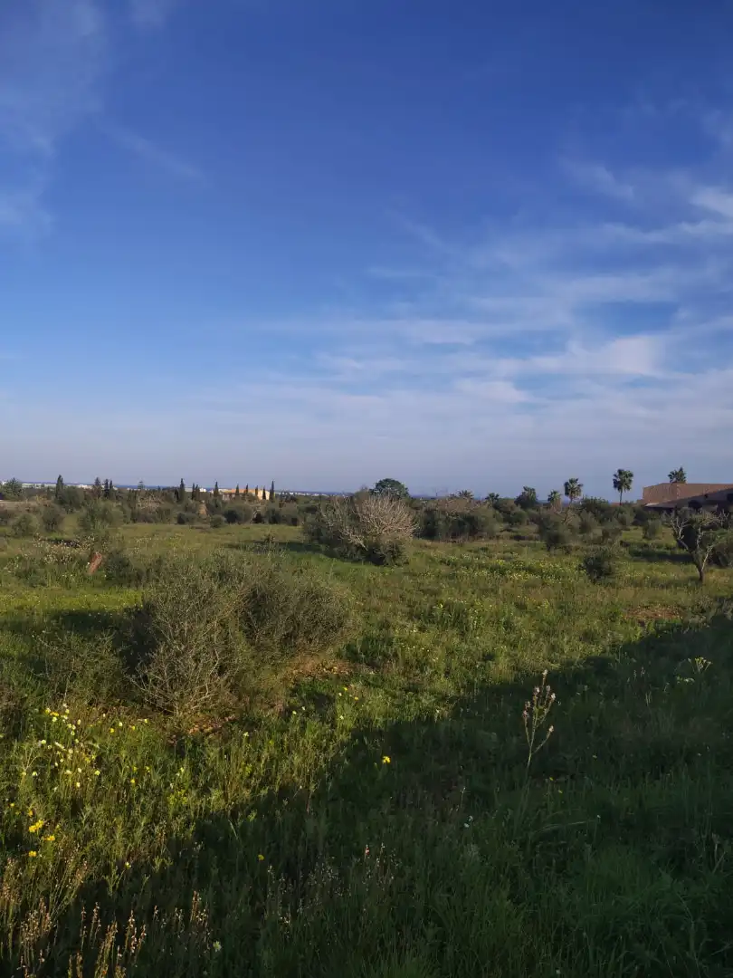 Rural land for sale in Cala Millor