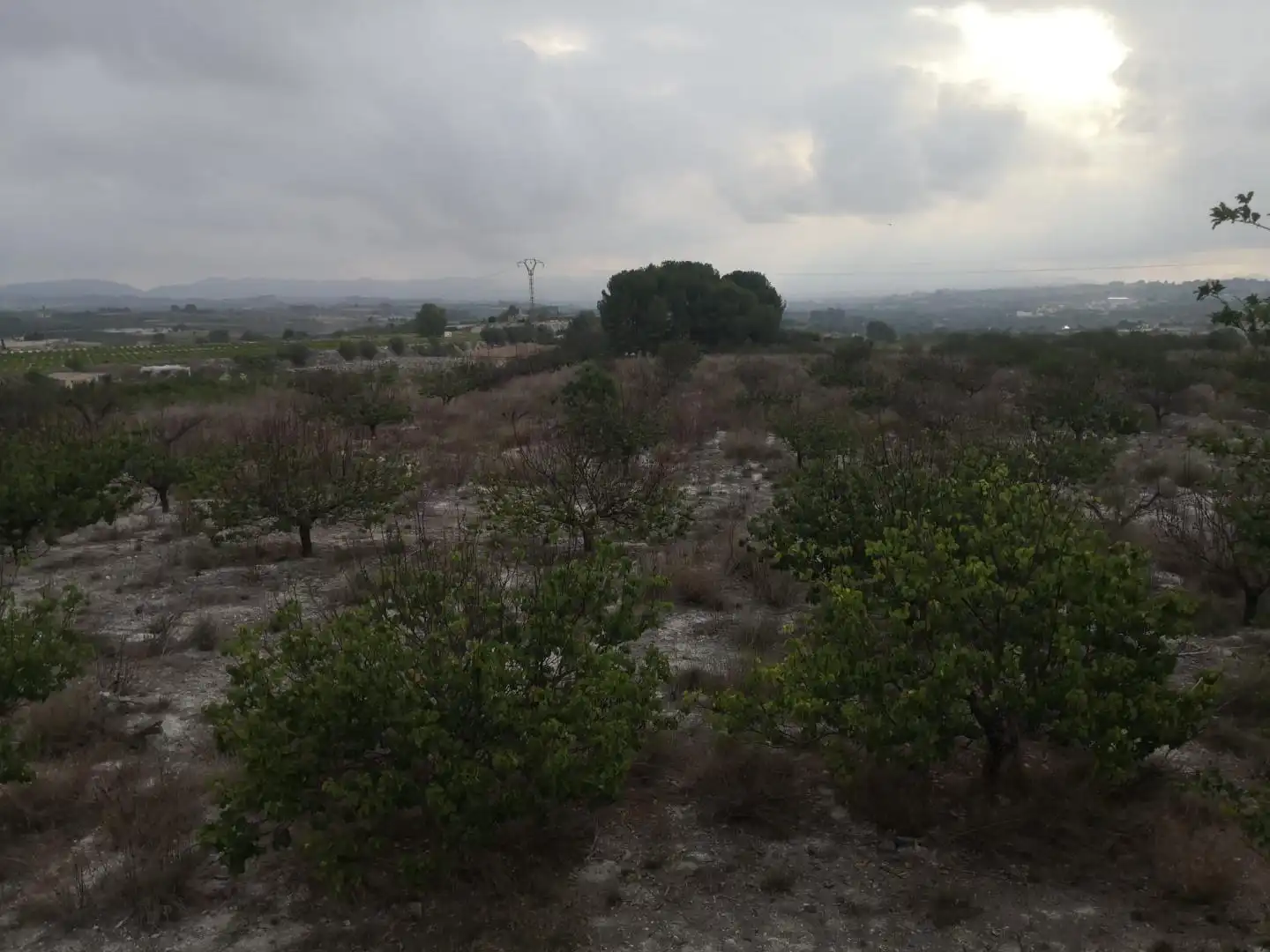Finca rústica en venta en Albaida con Jardín privado y Terraza