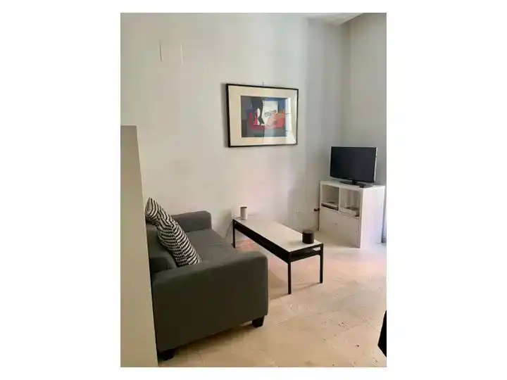 Sala d'estar de Estudi de lloguer en Madrid amb Aire condicionat, Parquet i Moblat