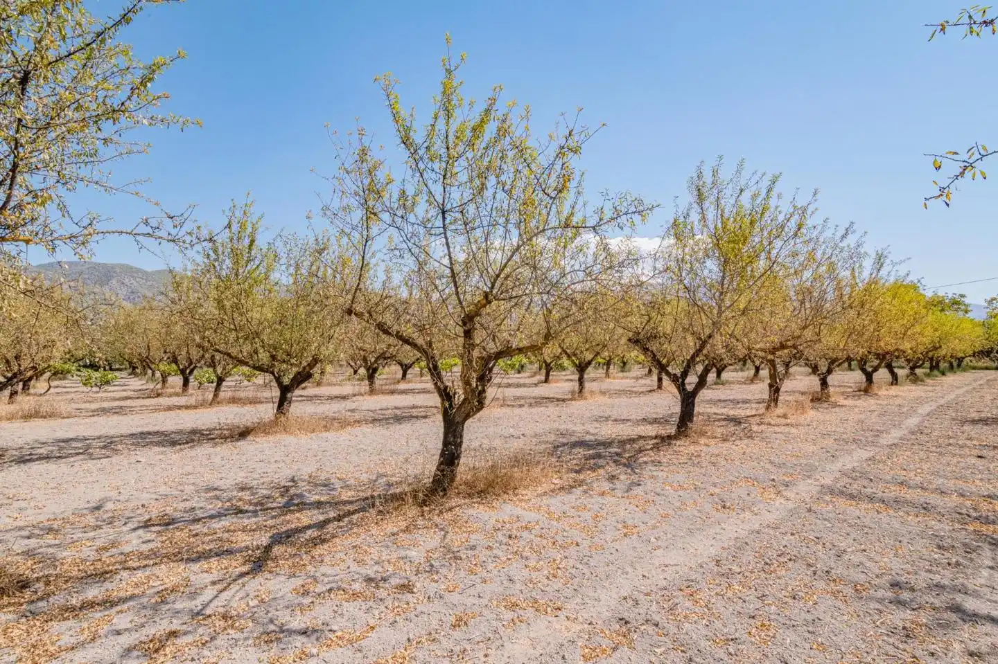 Country house for sale in Calle de Rocio Durcal, imagen 43