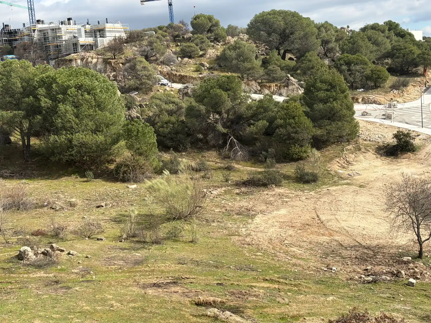 Wohnbaugrundstück zum Verkauf in Las Marías, imagen 2