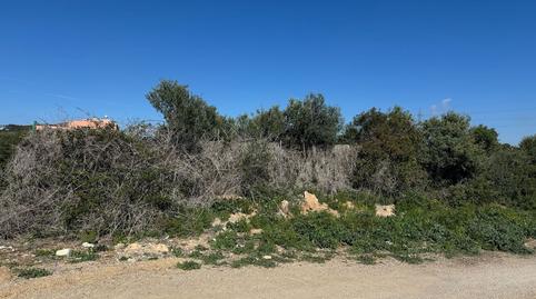 Photo 2 of Residential for sale in Partida Les Clotes. Sector 46 Pol. 11 Parcela, Coma-ruga platja, Tarragona