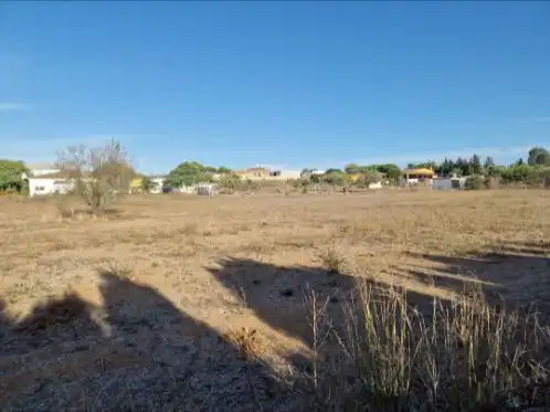 Terreno rústico en venta en Ctra.Portal -Genaro 107, imagen 3
