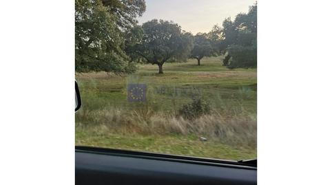 Foto 4 de Casa o xalet en venda a Portaje, Cáceres