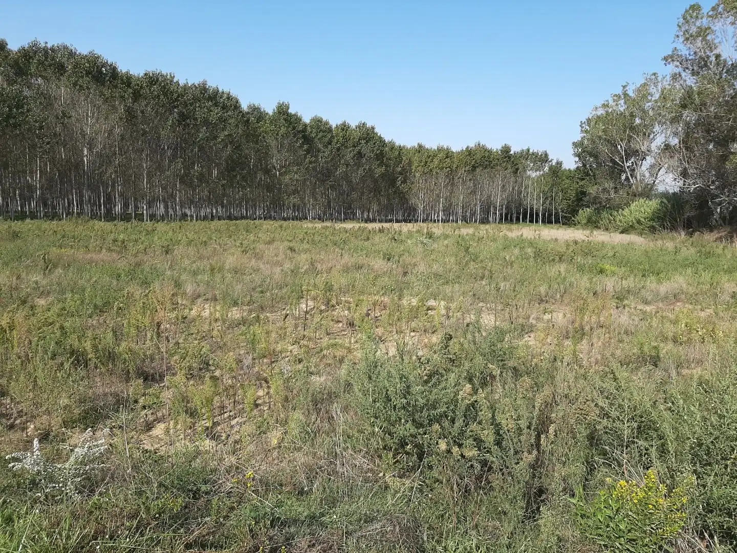 Terreno industrial en venta en Vidreres