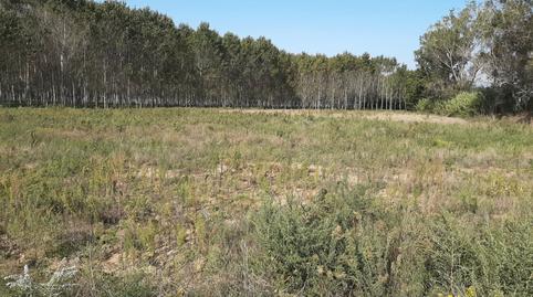 Foto 3 de Terreny industrial en venda a N-2, 702, Centre, Girona