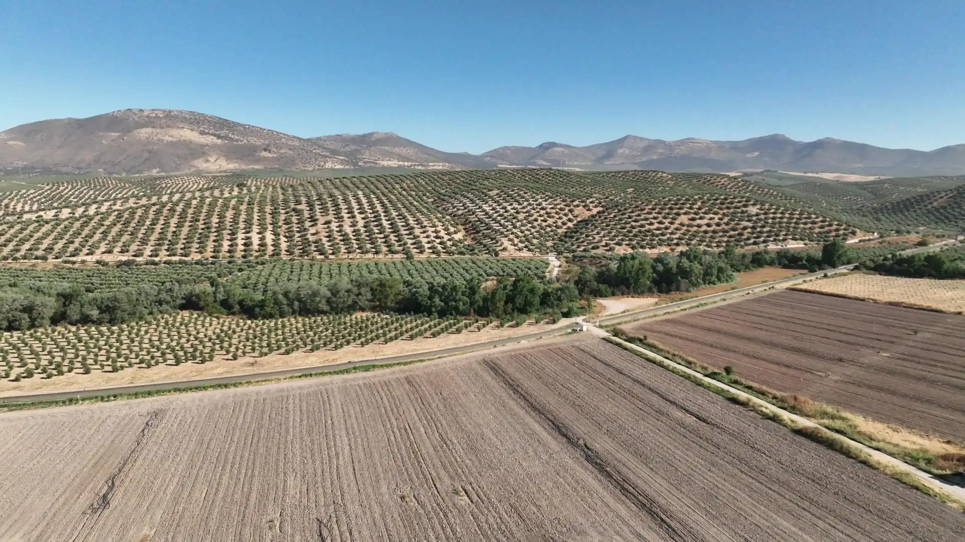 Terreni e lotti in vendita a Albolote, imagen 21