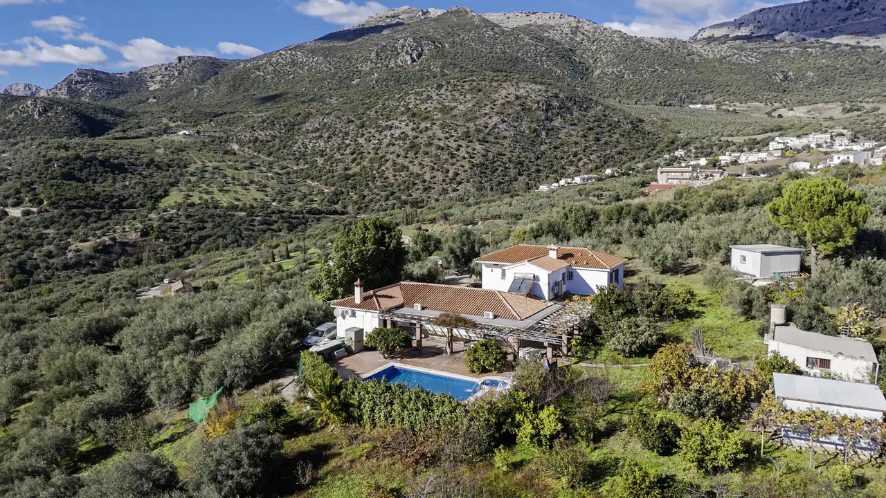 Jardín de Casa o chalet en venta en Periana con Aire acondicionado, Terraza y Piscina