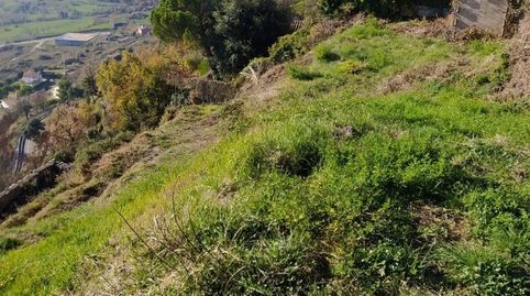 SOLAR AL BALCO DEL BERGUEDÀ, imatge 4