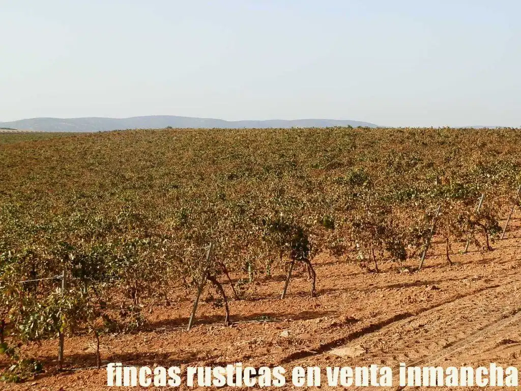 Terrenys i solars en venda a Almagro, imagen 4