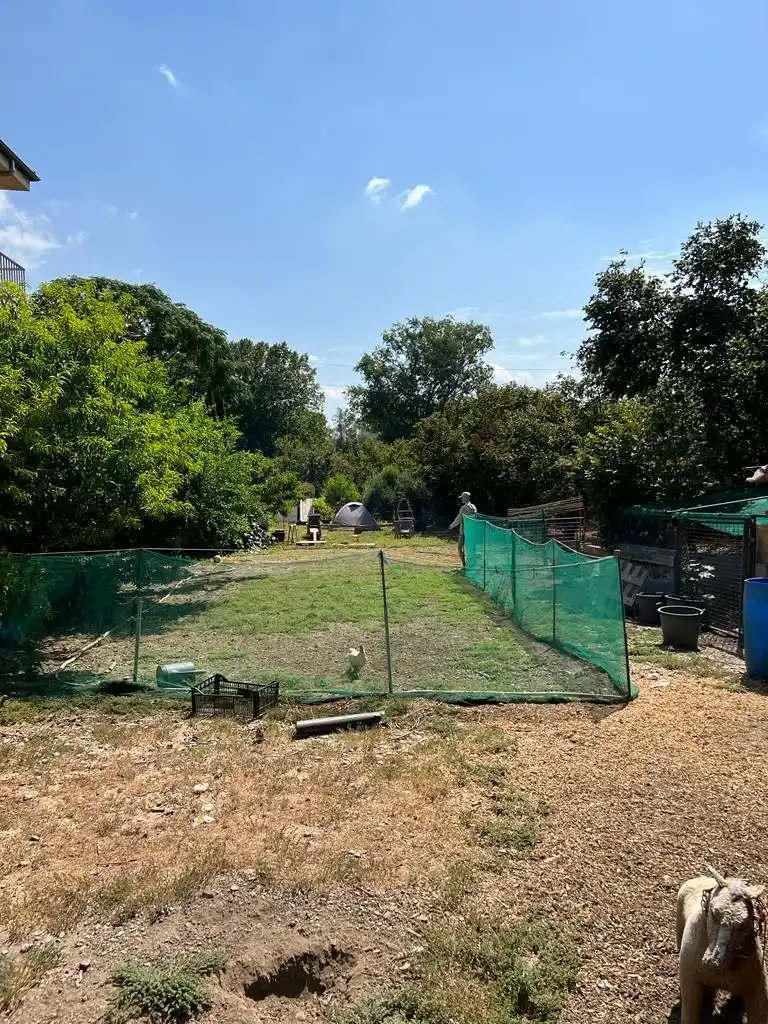 Terrenos y solares en venta en de la Selva, imagen 3