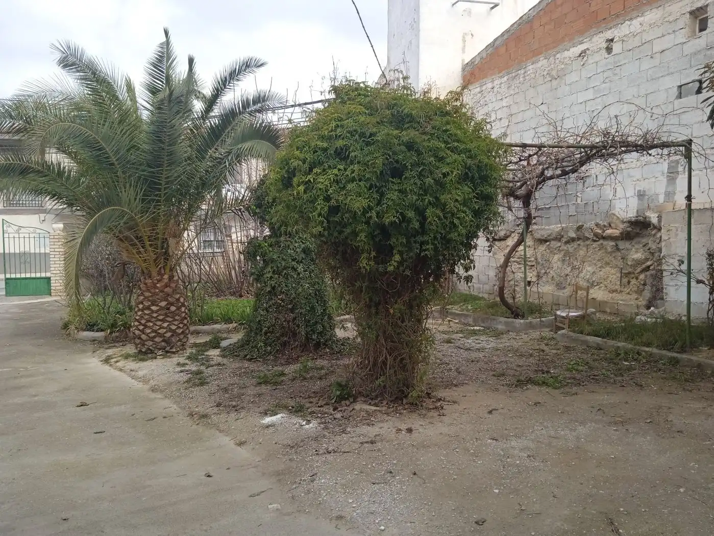 Finca rústica en venta en Cuevas del Campo