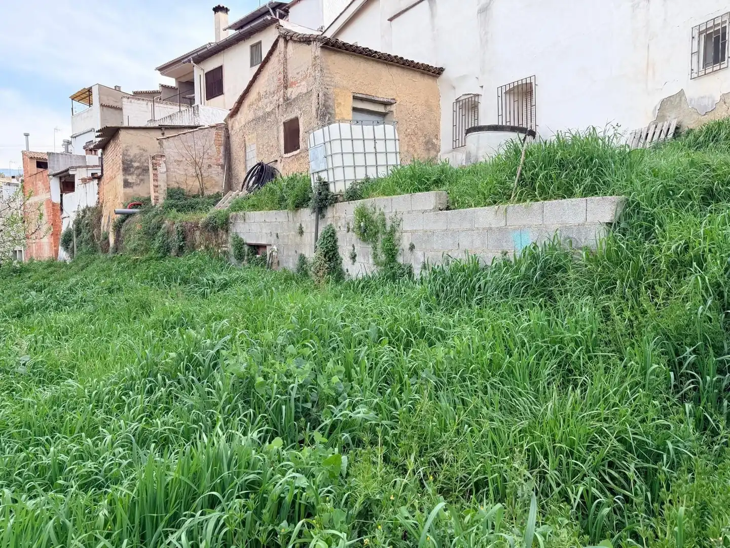 Terreno rustico in vendita a Albaida, imagen 6