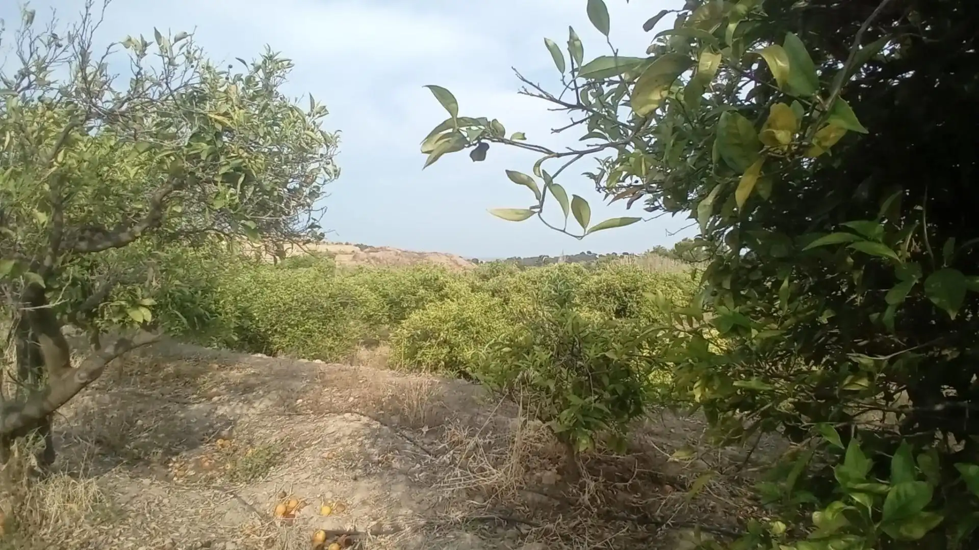 Rural land for sale in Altea ciudad, imagen 15