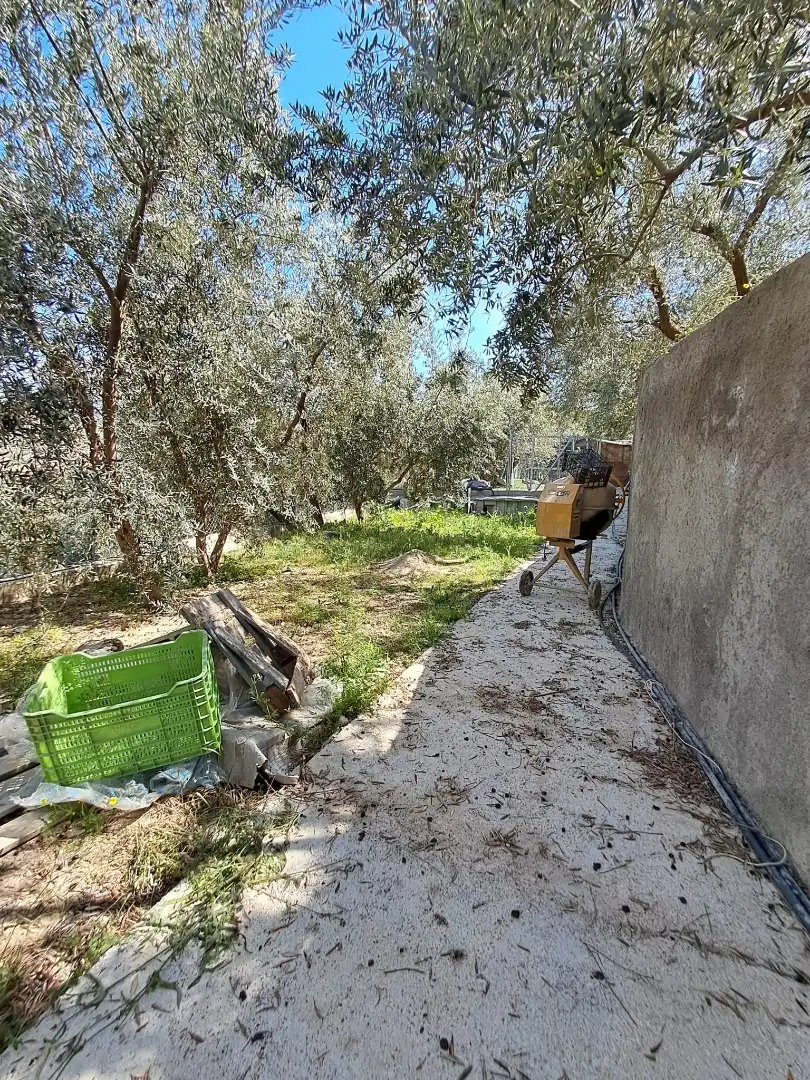 Finca rústica en venda en Alcolea amb Aire condicionat, Jardí privat i Piscina