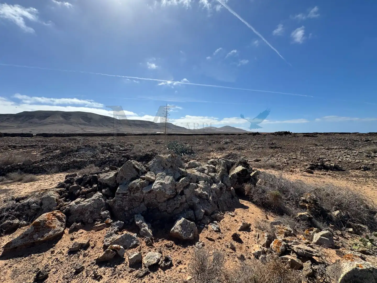 Land for sale in La Oliva