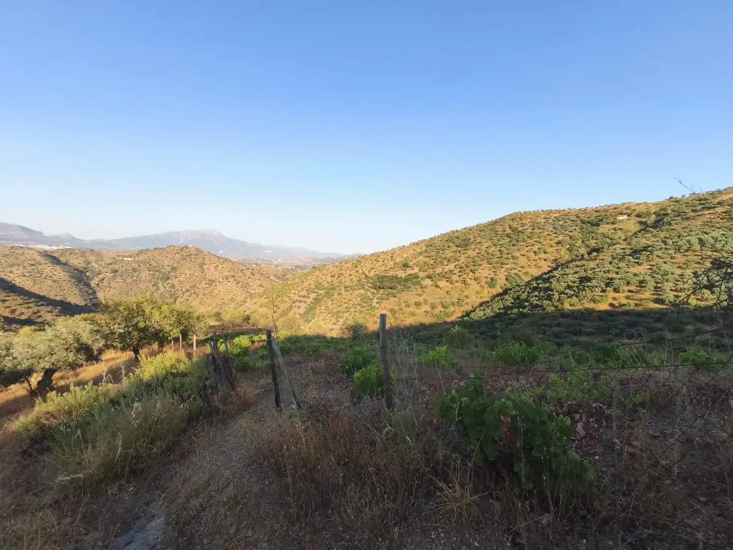Terrenys i solars en venda a Colmenar, imagen 5