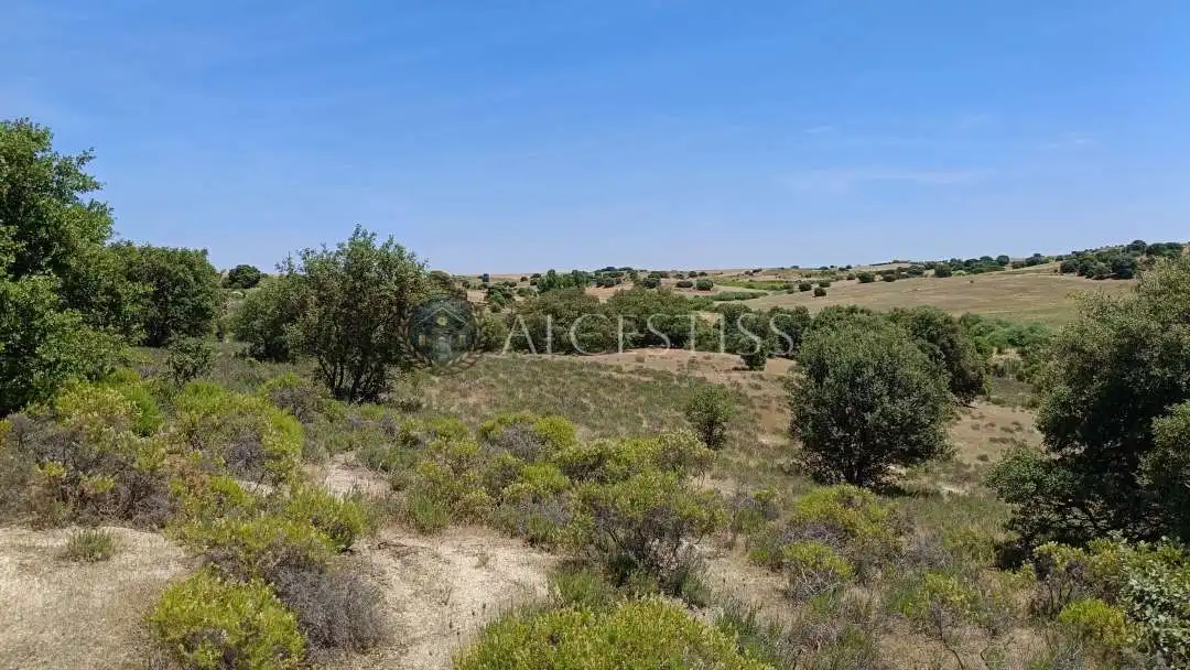 Terreno en venta en La Torre de Esteban Hambrán
