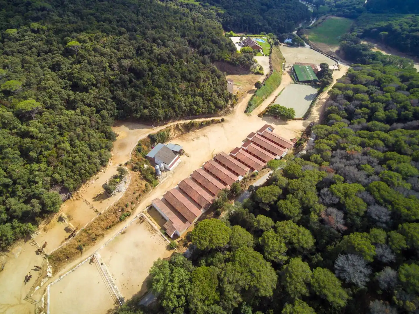 Vista exterior de Casa o chalet en venta en Sant Andreu de Llavaneres con Aire acondicionado, Calefacción y Jardín privado