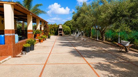 ¡¡¡PRECIOSA FINCA RÚSTICA DE RECREO CON CASA Y ÁRBOLES FRUTALES!!!, imatge 5