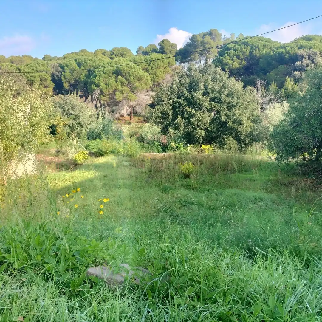 Residential land for sale in Carretera Carretera de la Sagrera 28, imagen 4