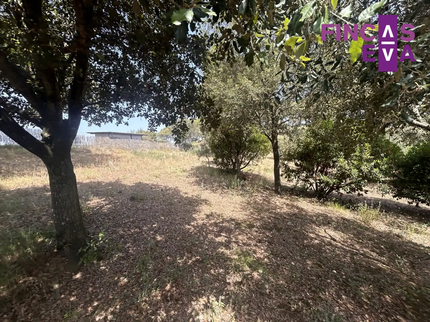 Rural land for sale in Vallromanes - CL SANT ANDREU, imagen 24