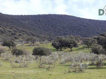 Terrenys i solars en venda a Casco Antiguo