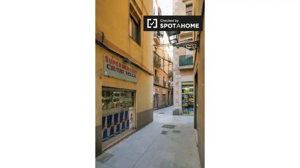 Flat with terrace to rent in Ciutat Vella, imagen 17