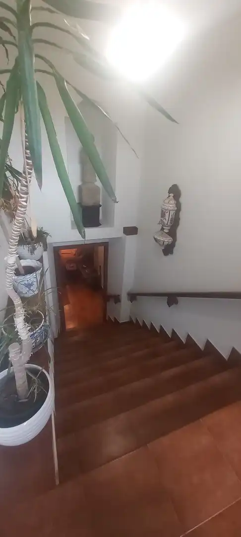 Casa con jardín en venta en Rosalía de Castro, imagen 15