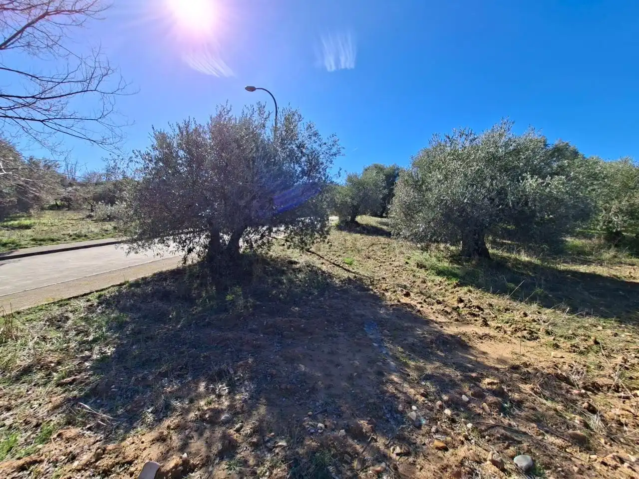 Lands and plots for sale in Calle Río Tajuña 1676, imagen 24