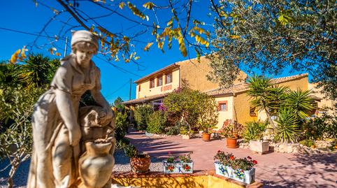 Photo 4 of Premises for sale in Hondón de las Nieves / El Fondó de les Neus, Alicante