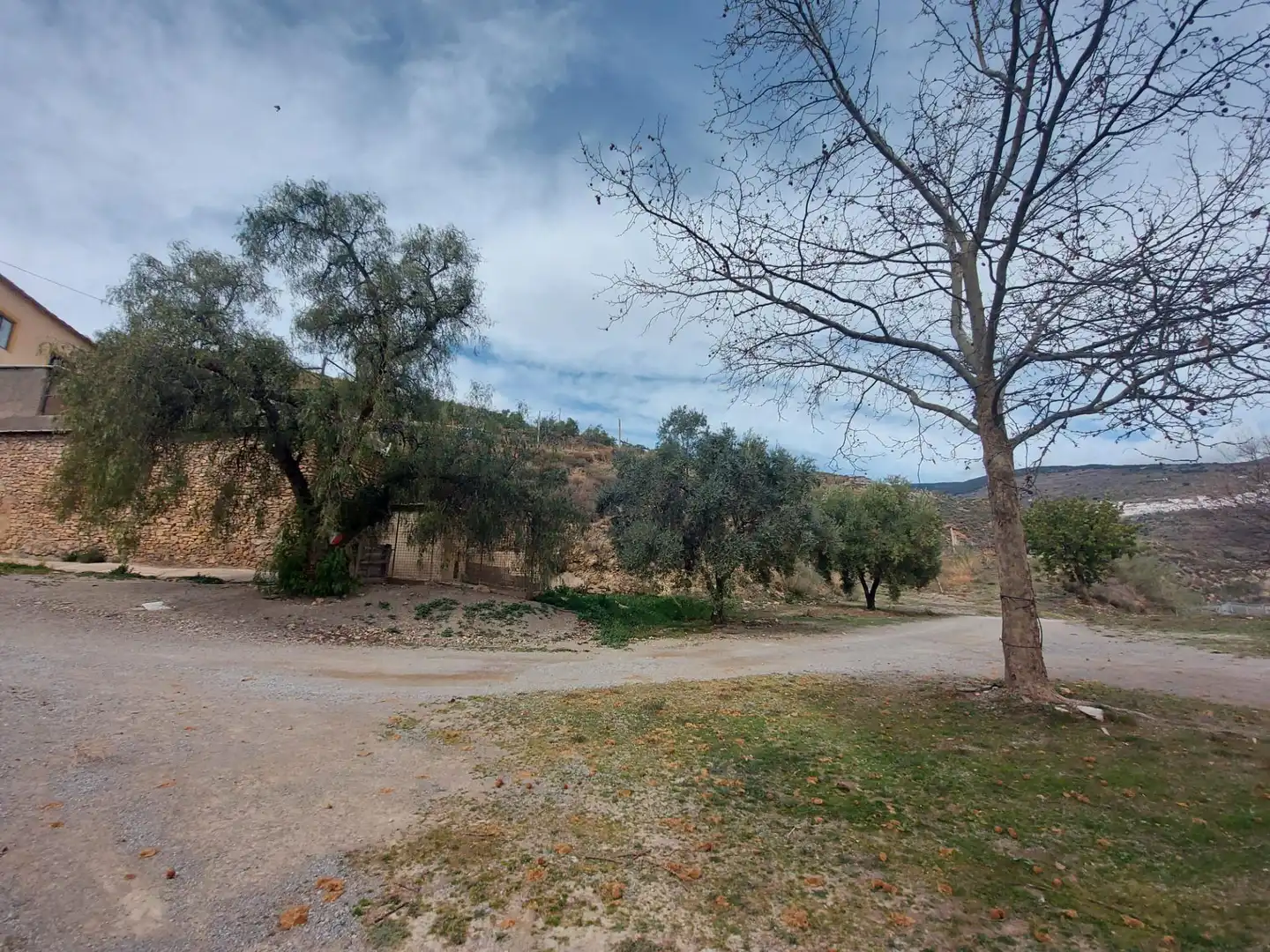 Country homes for sale in Nevada